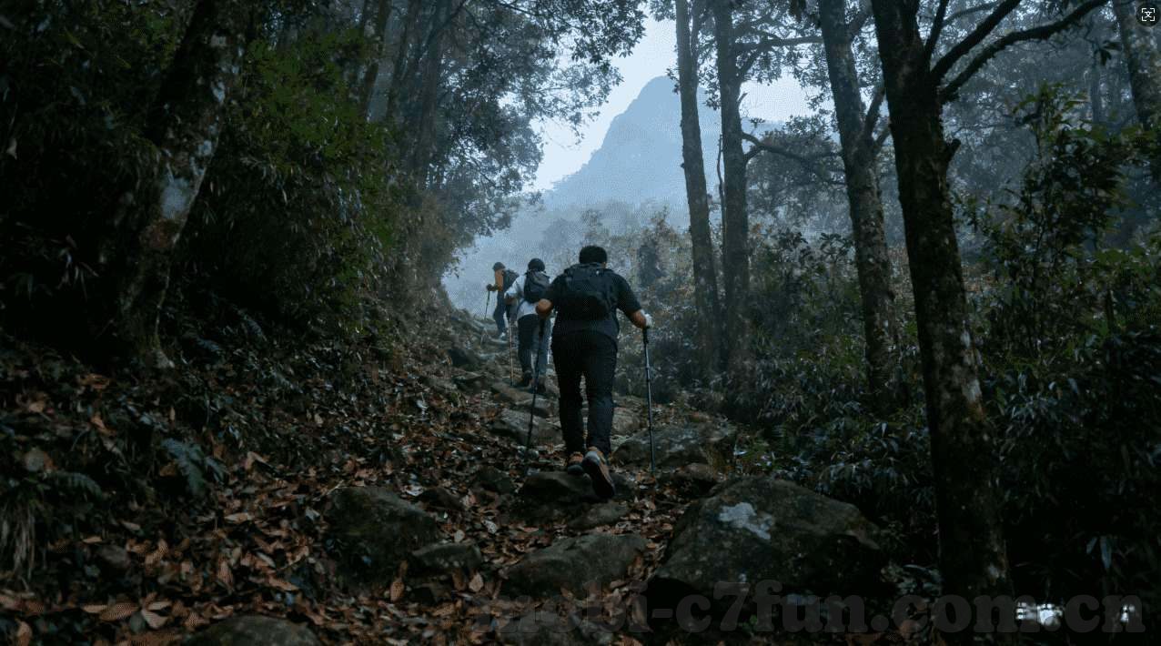 德州扑克起手机张牌-德州扑克，手机张牌的策略与心理博弈